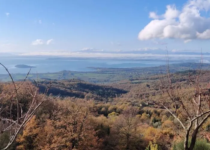 Moderne Mit Atemberaubendem Seeblick